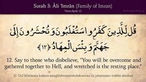 Indeed, those who disbelieve - never will their wealth or their children avail them against Allah at all. And it is they who are fuel for the Fire.