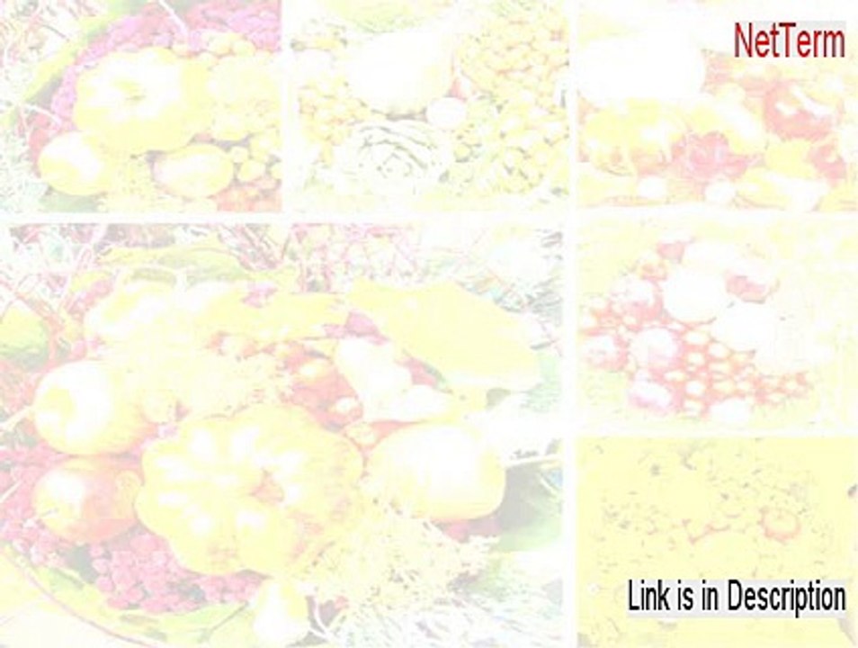 NetTerm Download (Instant Download 2015)