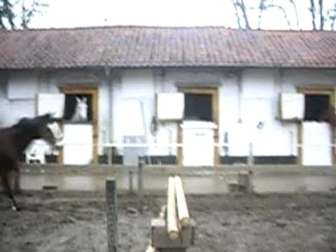 Mister saut liberté