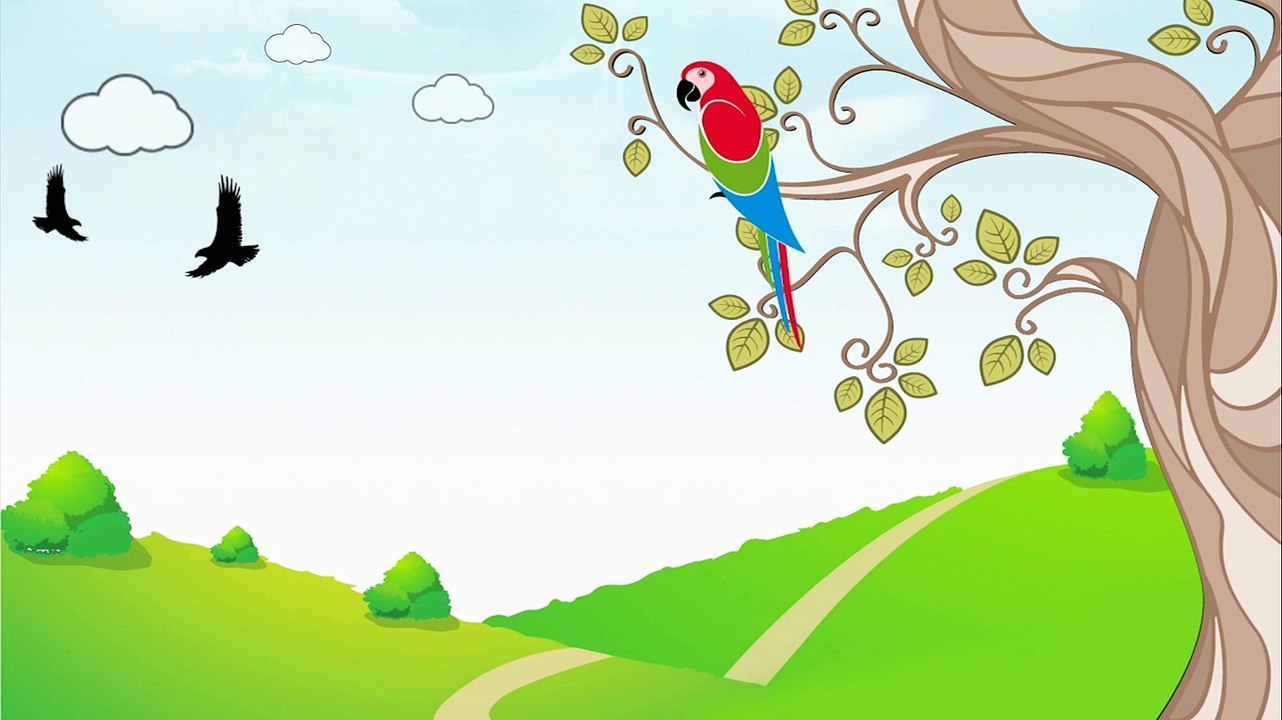 Web Design & Development Services at Affordable Cost by Boundless Technologies Dubai UAE