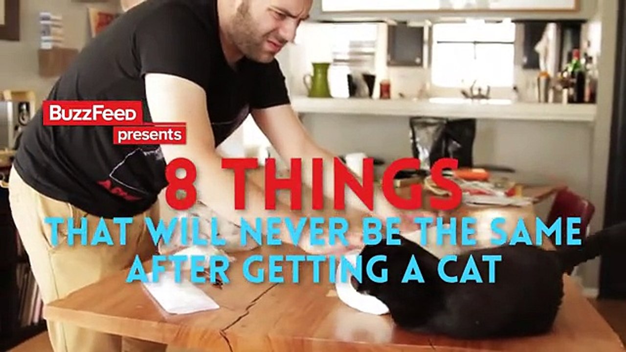 Before Vs. After Getting A Cat