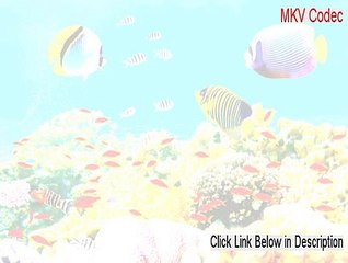 MKV Codec Download Free (Download Here)