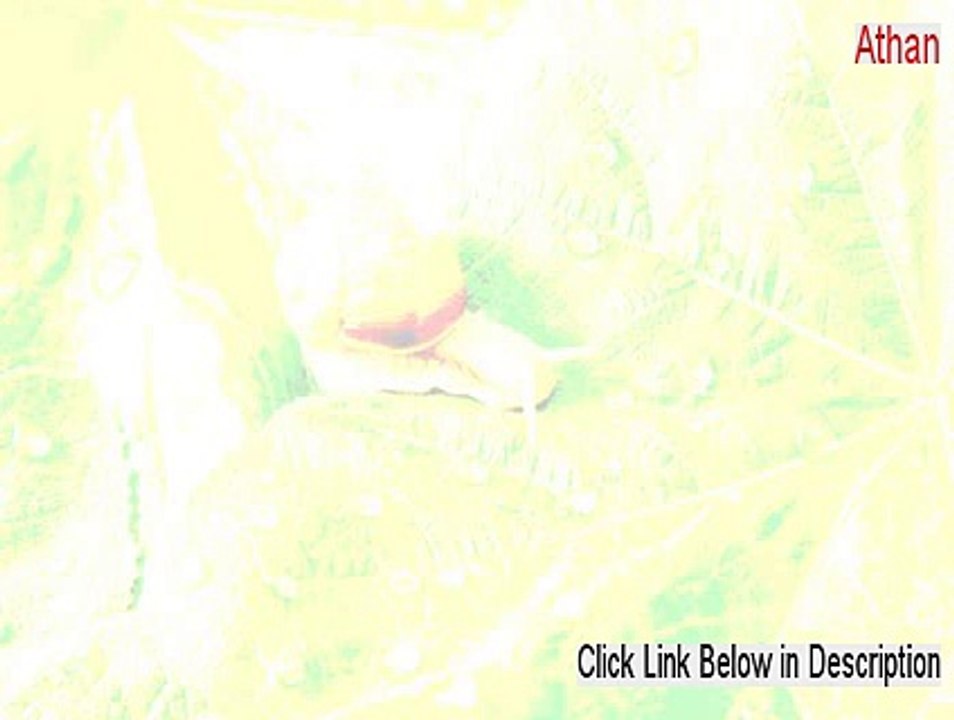 Athan (Azan) Basic Download Free - athan download