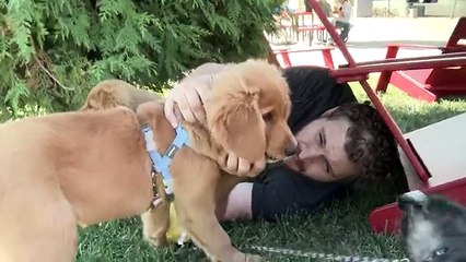 Giant Men Meet Tiny Puppies