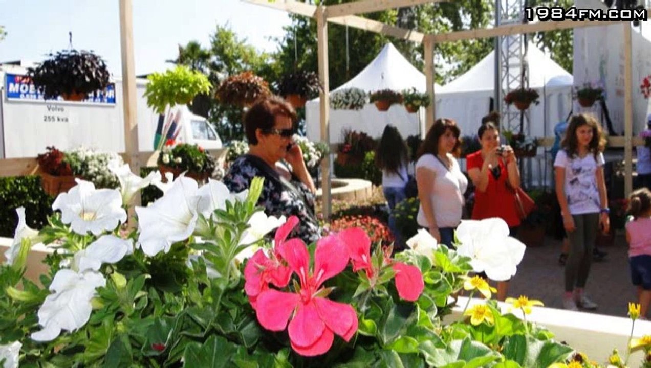 auswandern_jan_2015 Ali Iscitürk