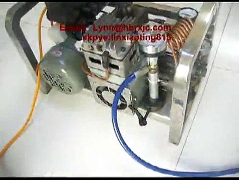 bald eagle air gun high pressure air pump