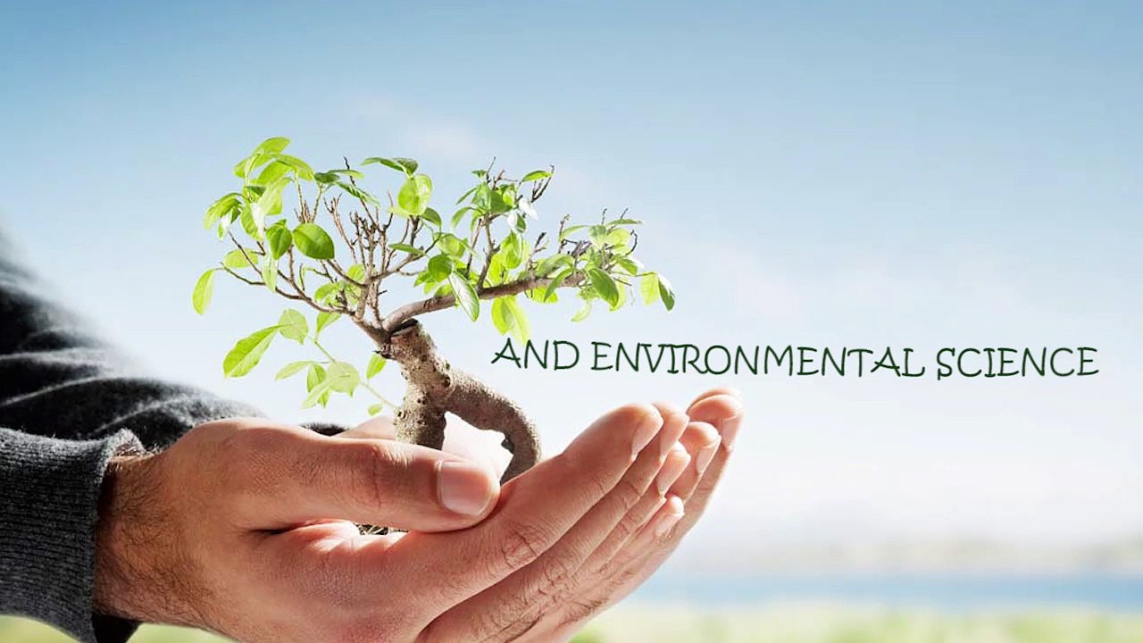 Allow Outdoor Education Africa to design your Unforgettable Tour