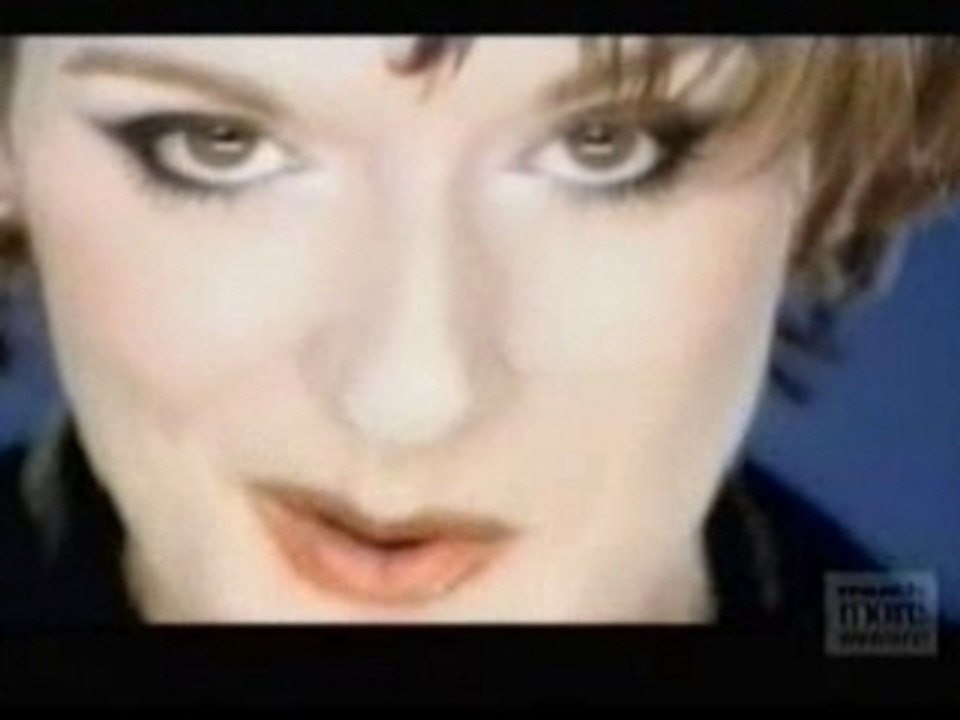 Céline Dion - Because You Loved Me