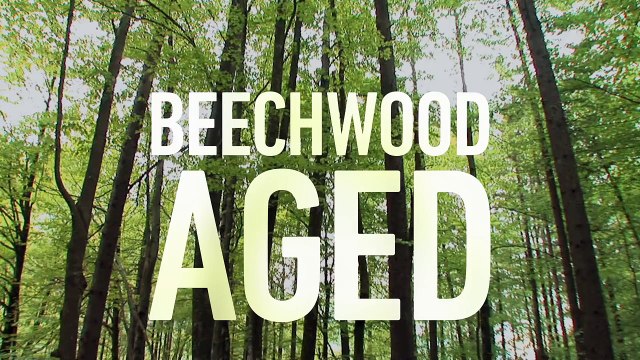 2015 Budweiser Super Bowl Commercial “Brewed The Hard Way” Budweiser #ThisBudsForYou