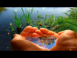 Meri Hiriye Faqiriye Ni SOniYe Full Song By Satindar SarTaj _ Tune.pk_2