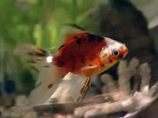 의정부풀싸롱공략법 간석오피방刊안양키스방灌