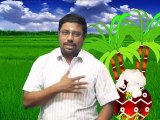 PONGAL SPL  By Dindigul P.Chinnaraj Astrologer INDIA