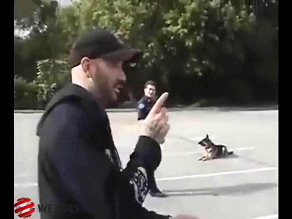Another version of the trained dogs