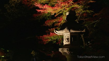 Tokyo Rikugien Parc la Nuit