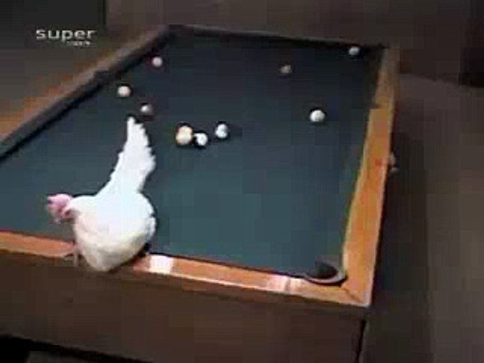 Ofcourse This Is Fake(funny video)