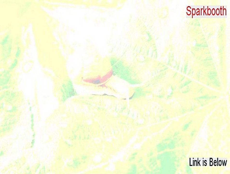 Sparkbooth Serial [Download Here]