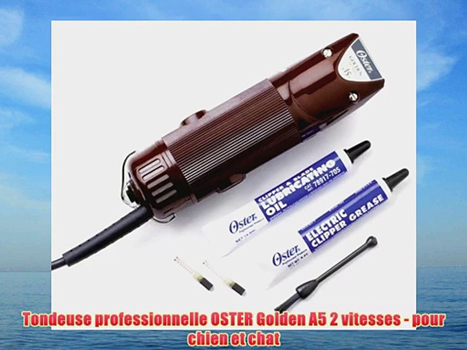 Tondeuse Pro Oster 78005-141 – Deux Vitesses + 3 Lames F13, Lavable Et Fabriquée Aux USA