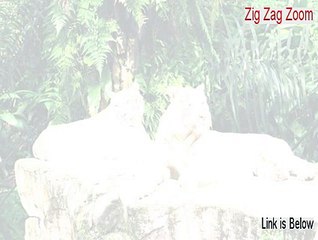 Zig Zag Zoom Download (Instant Download)