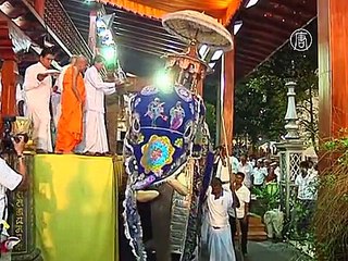 Шри-Ланка: красочный парад со слонами