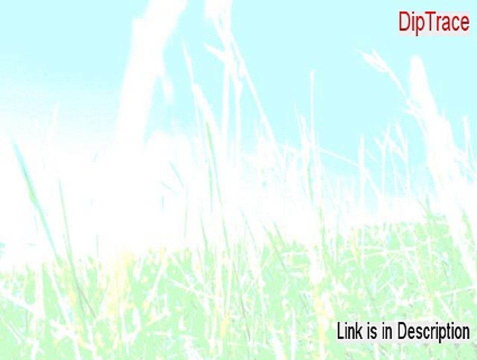 DipTrace Serial (Download Now 2015)