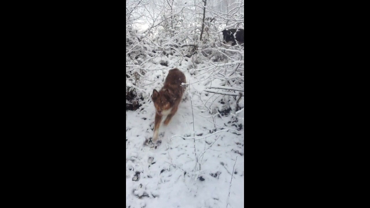 ever et jag neige février 2014