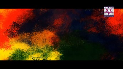 SHO Bhatti Episode 36 HUM SITARAY Drama