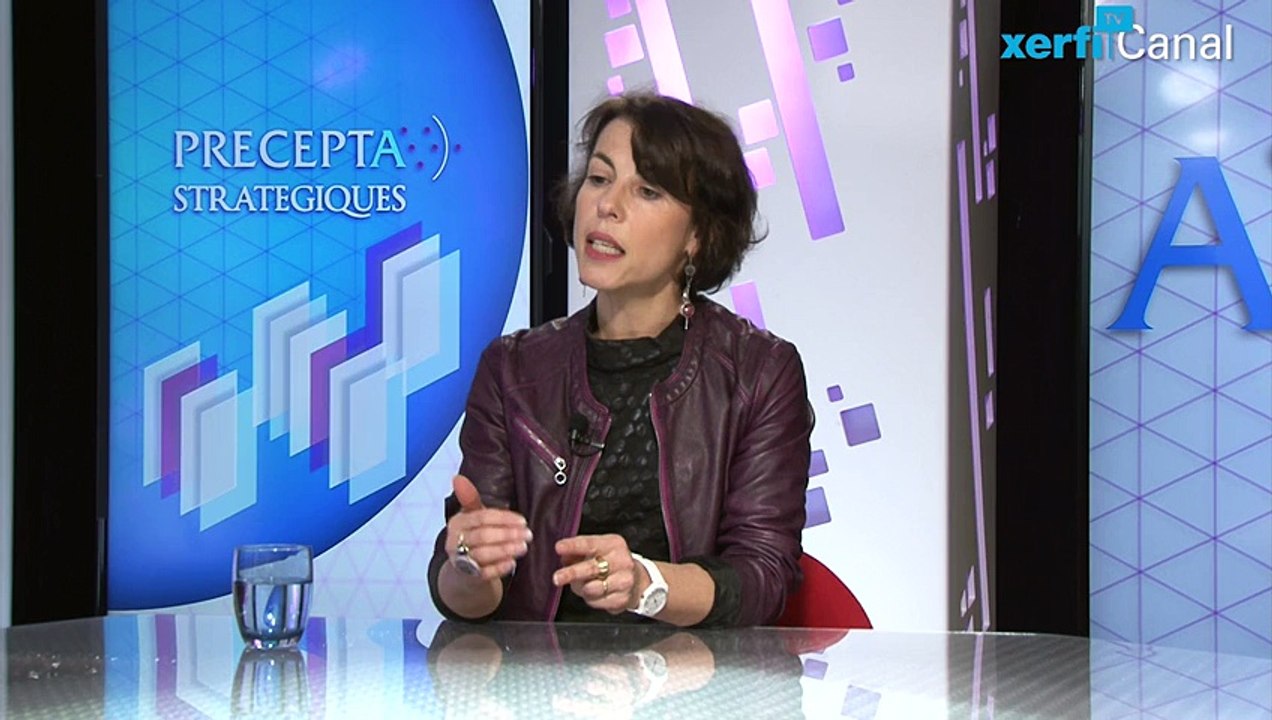 Isabelle Collin-Lachaud, Xerfi Canal Repenser le commerce avec une ...