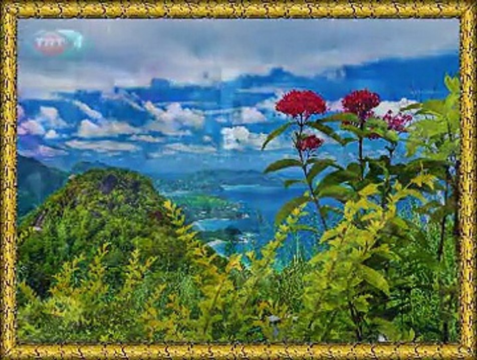 BİR SEVDÂDIR ŞARKILAR KOROSU &  Kâmuran AKKOR *Benliyi Aldım Kaçakdan*