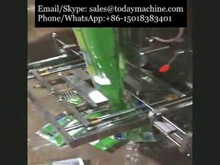 équipement automatique d'emballage de sac de poudre de chili