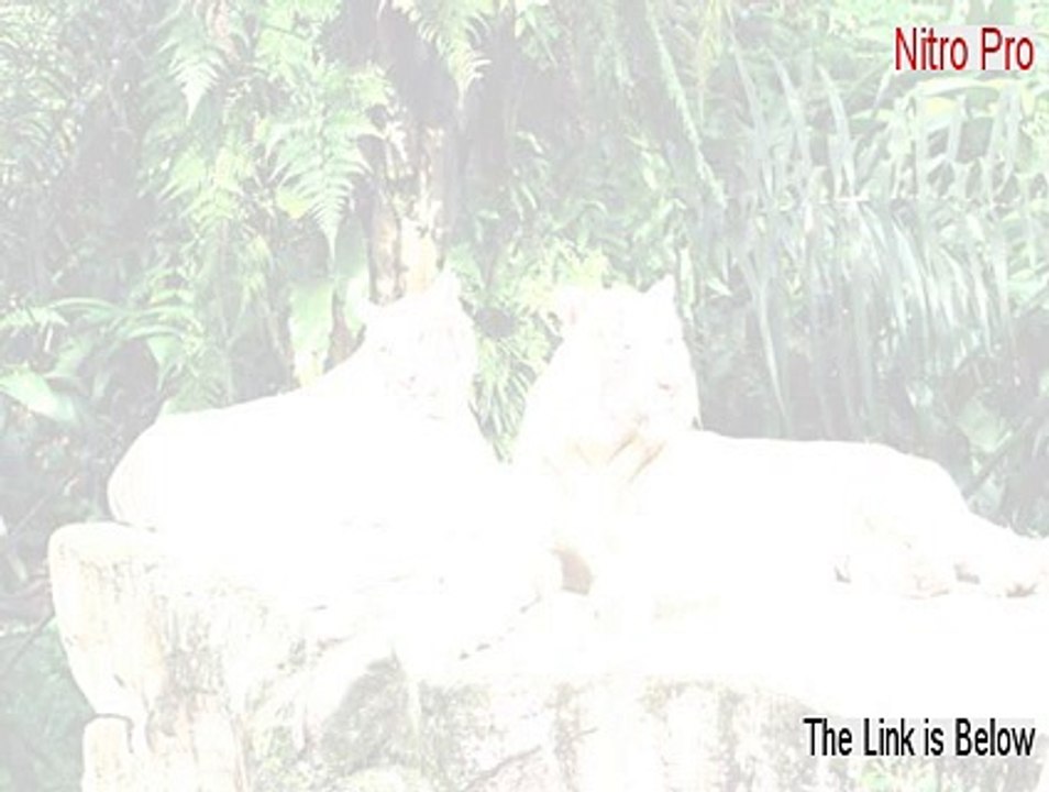 Nitro Pro Key Gen [Free of Risk Download 2015]