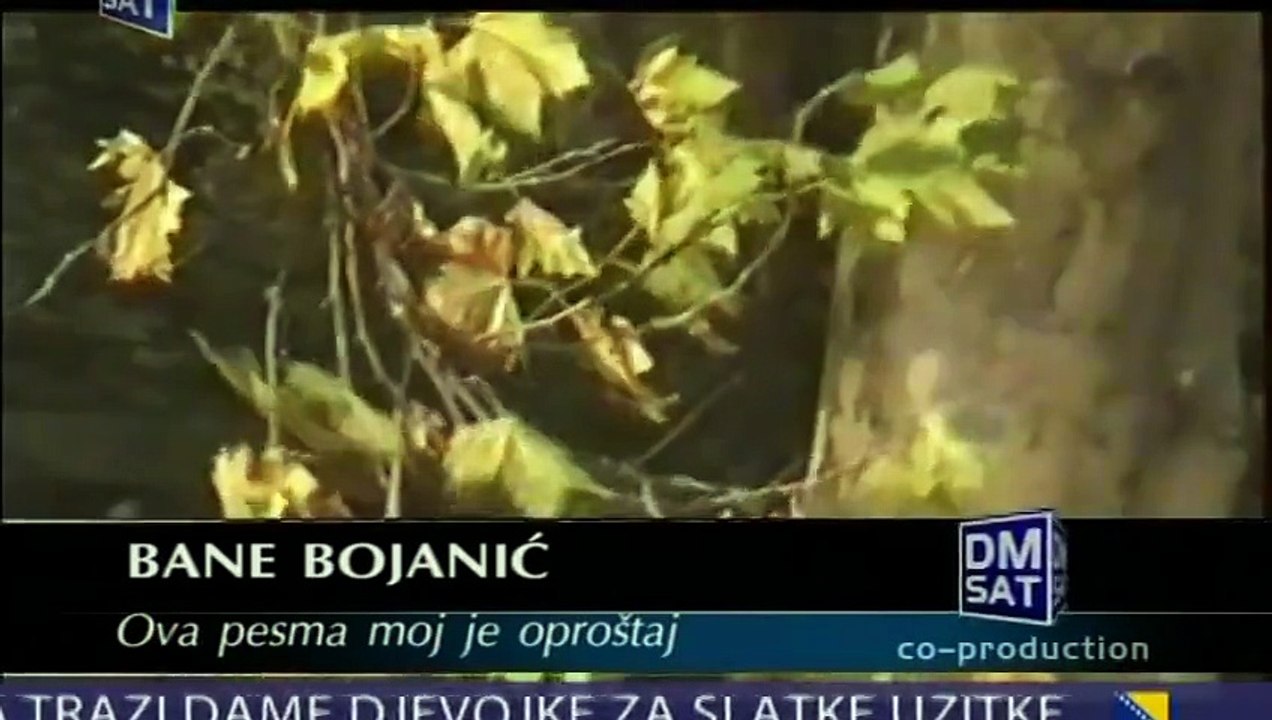 Bane Bojanic - Ova pesma moj je oprostaj