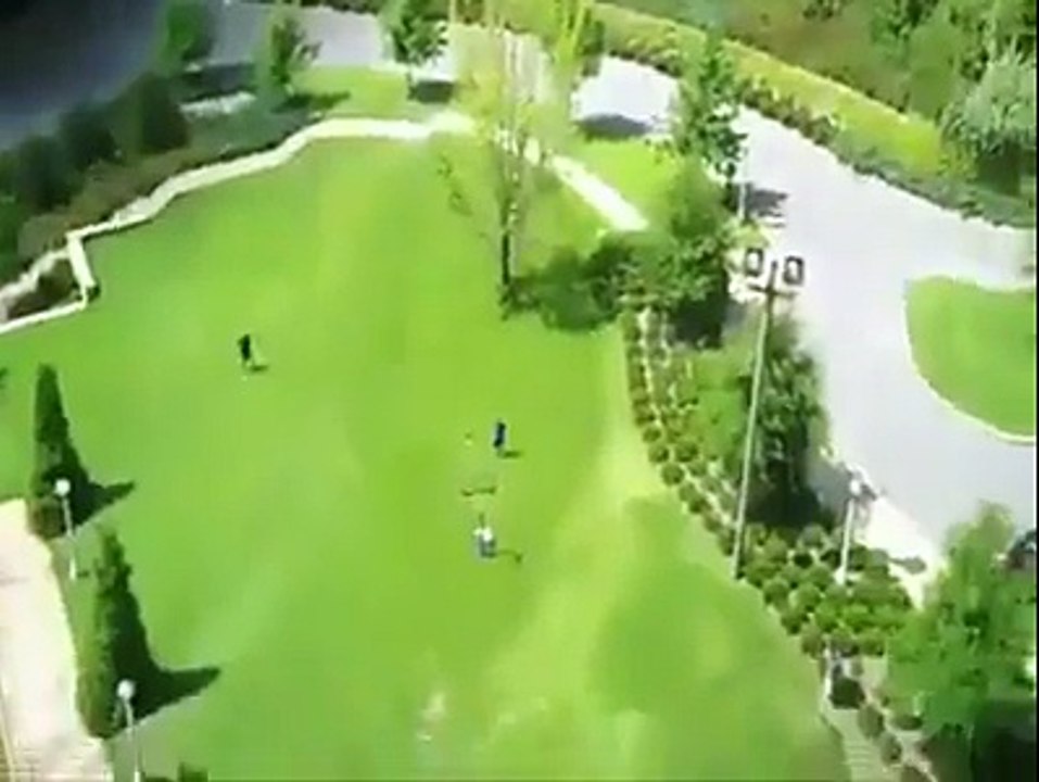 Amazing video