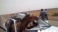 حادث مرور في طريق سرت - ليبيا... أم ...2015