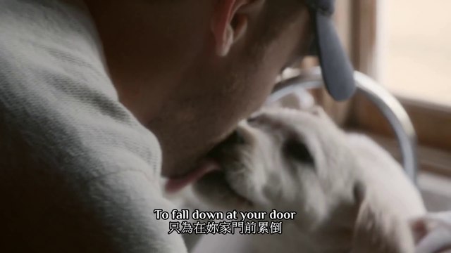BUDWEISER SUPERBOWL COMMERCIAL “LOST DOG” ＃百威啤酒2015超級盃廣告《迷途萌犬》（中英字幕）
