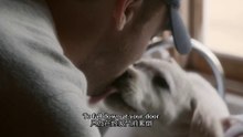 BUDWEISER SUPERBOWL COMMERCIAL “LOST DOG” ＃百威啤酒2015超級盃廣告《迷途萌犬》（中英字幕）