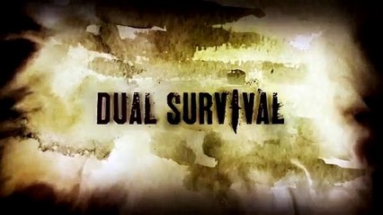 A Five Star Hotel for Bears   Dual Survival