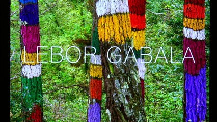 Desfilada Lebor Gabala Febrer 2015