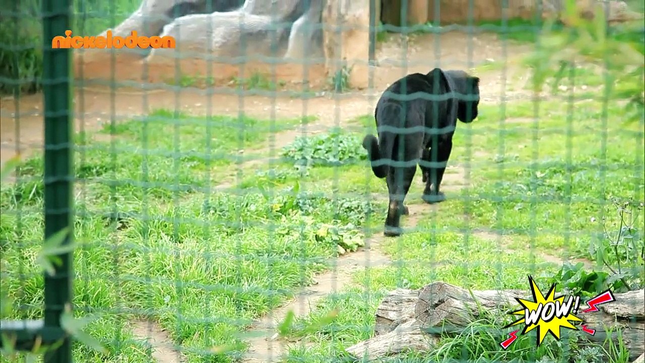 WOW! - S02: Επεισόδιο #47