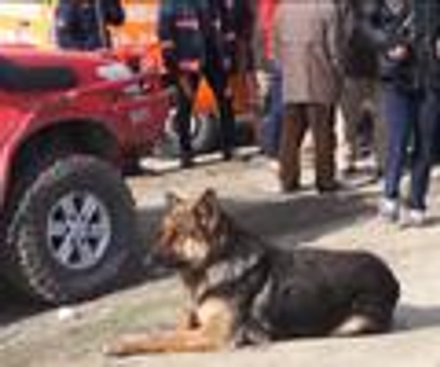 Nehir kenarında yavrularını bekliyor