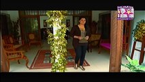 Tera Woh Piyar Episode 93 Full HUMSITARAY TV Drama DEC 31, 2014
