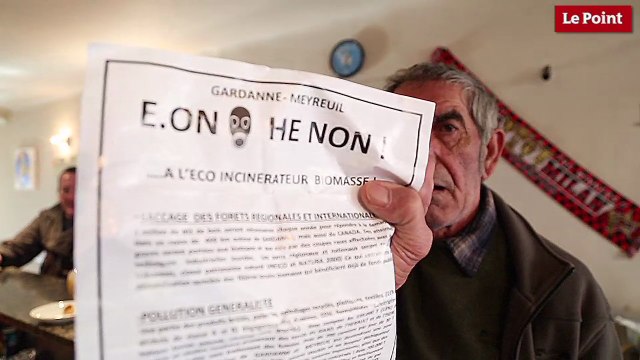 Centrale biomasse de Gardanne : Les risques pour la santé