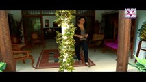 Tera Woh Piyar Episode 96 Full HUMSITARAY TV Drama Jan 07, 2015