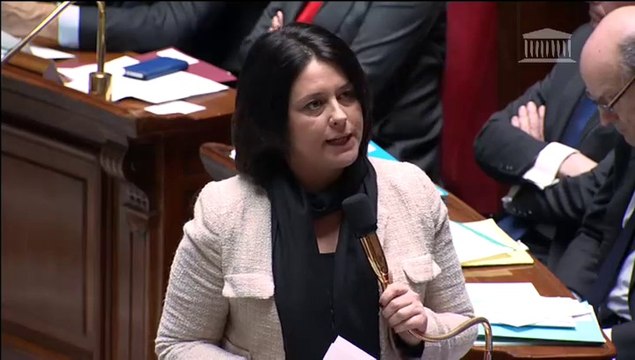 Sylvia Pinel répond à une QAG sur la politique du Logement