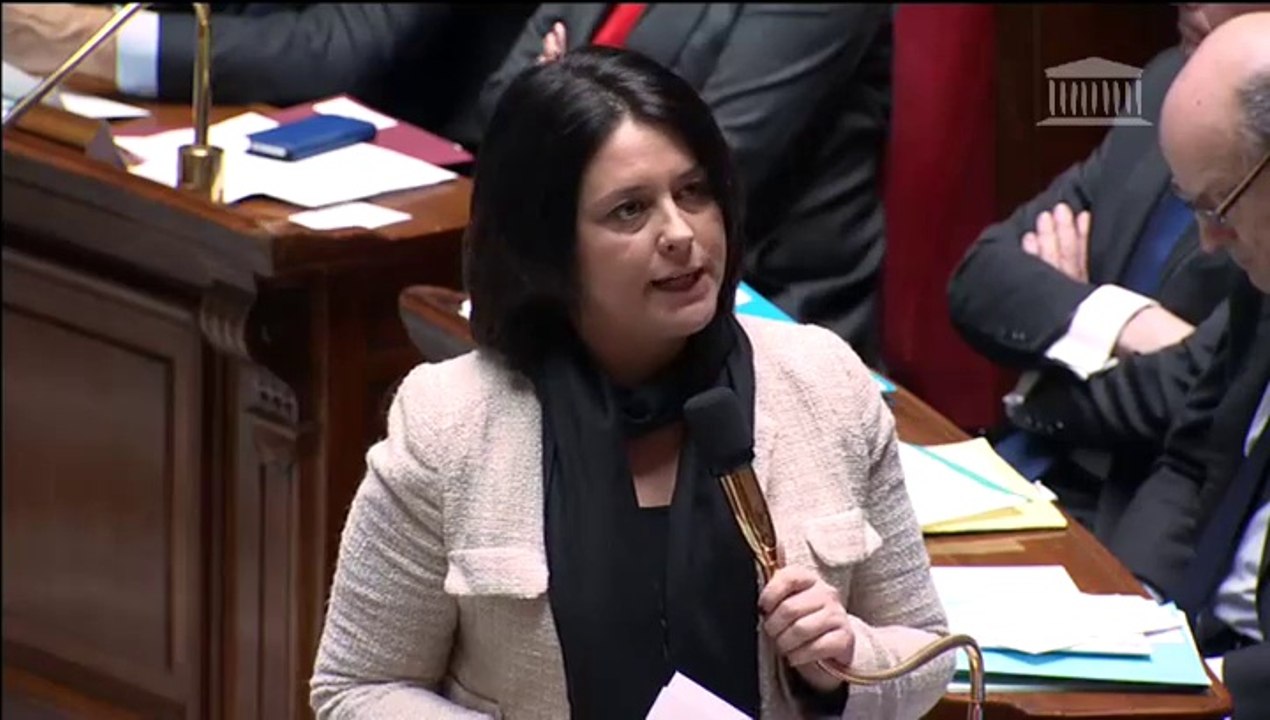 Sylvia Pinel répond à une QAG sur la politique du Logement