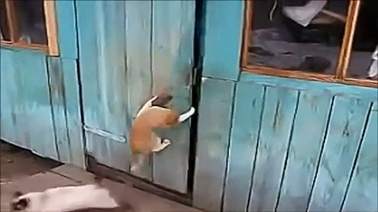 funny cool -----