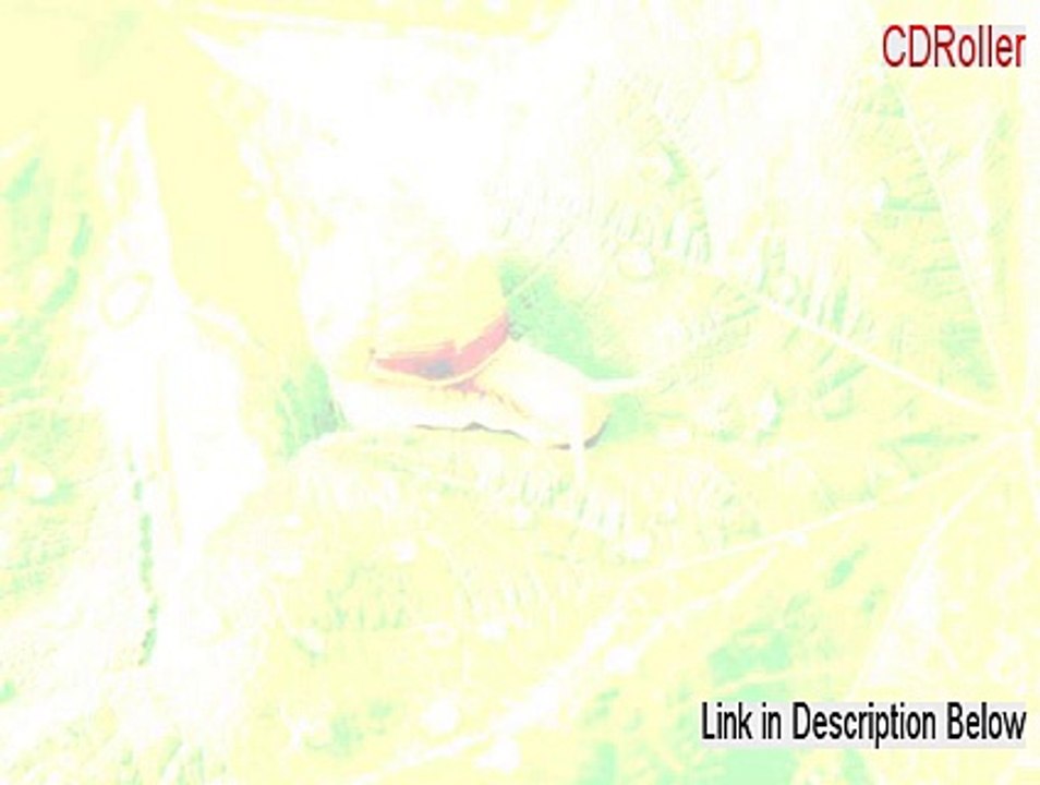 CDRoller Full - Risk Free Download (2015)