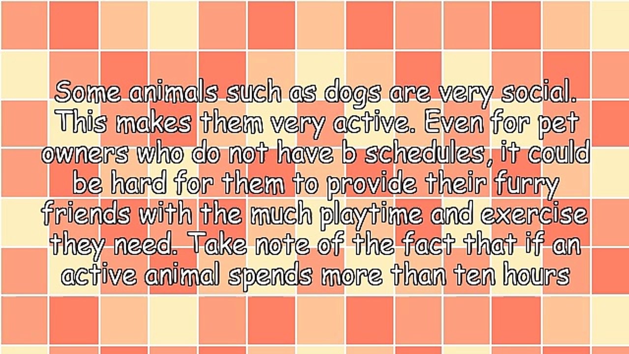 Tips For Finding The Right Dog Daycare Indianapolis