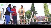 Every Dog Has It's Day - Entertainment Behind the Scene Making
