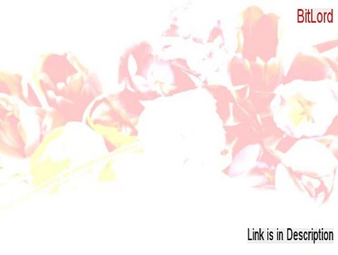 BitLord Serial [Download Here]