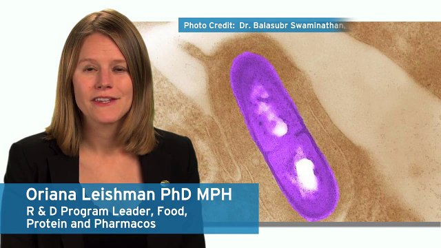 Ecolab Experts on Microbes – Listeria